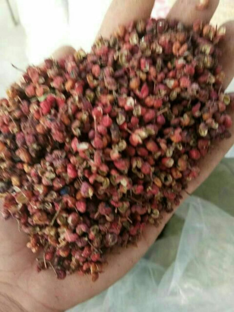 大红袍花椒一级干