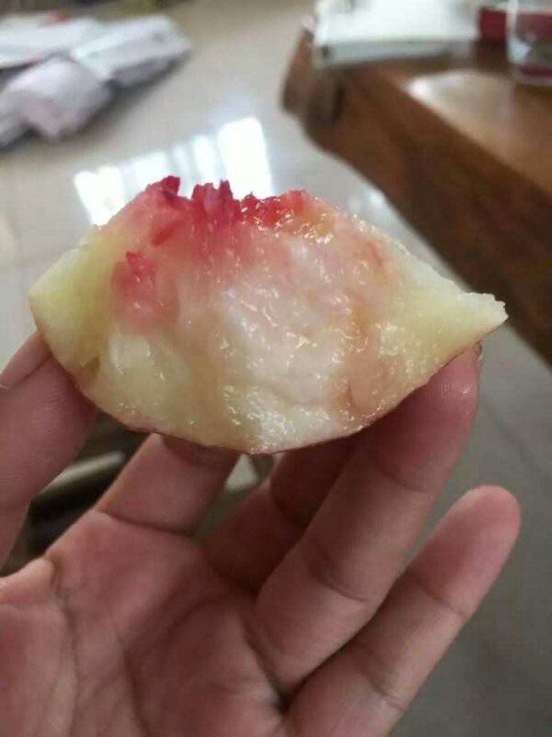 寒露蜜桃80mm以上