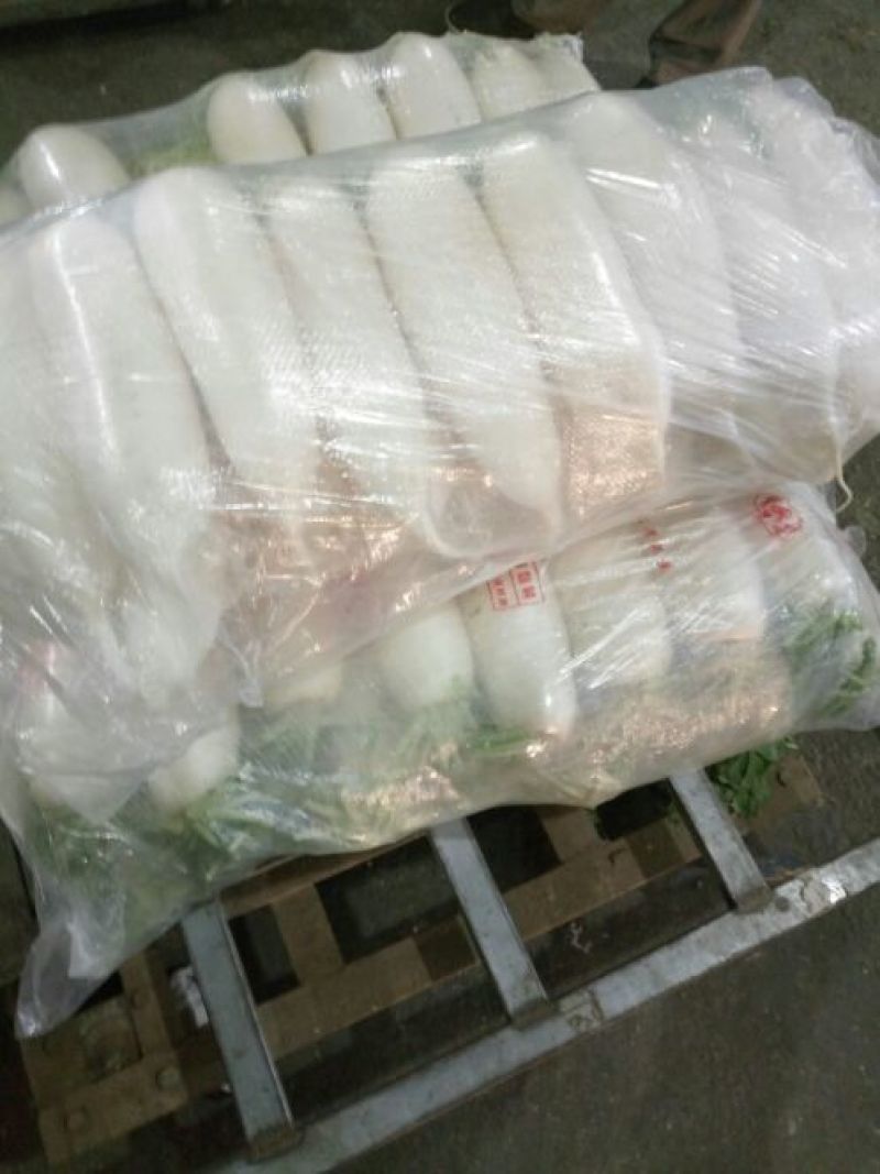 白萝卜1~1.5斤起