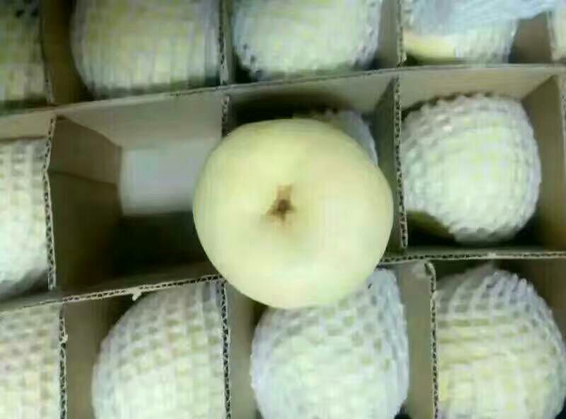 酥梨200~250g纸箱