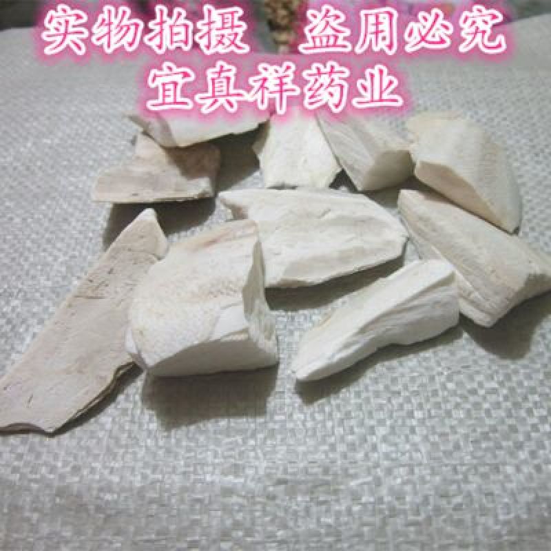 海螵蛸