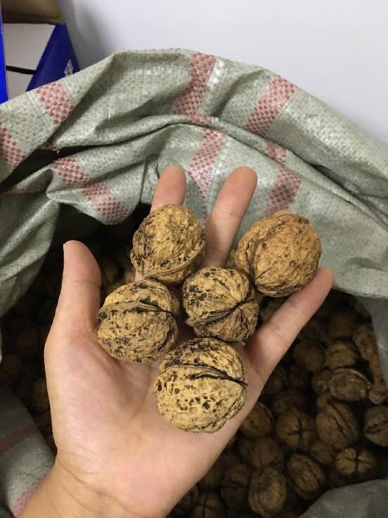 纸皮核桃