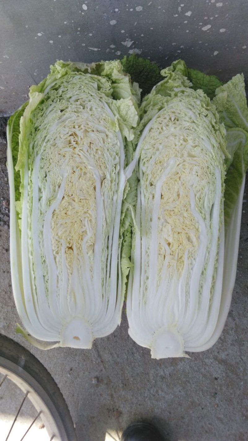 北京新三号
