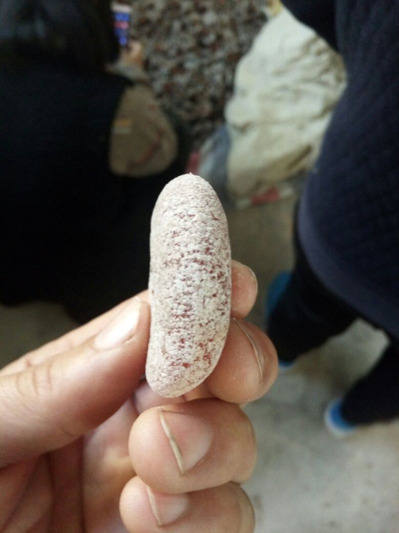 柿饼2~2.5两