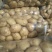 大白花土豆1两以上通货