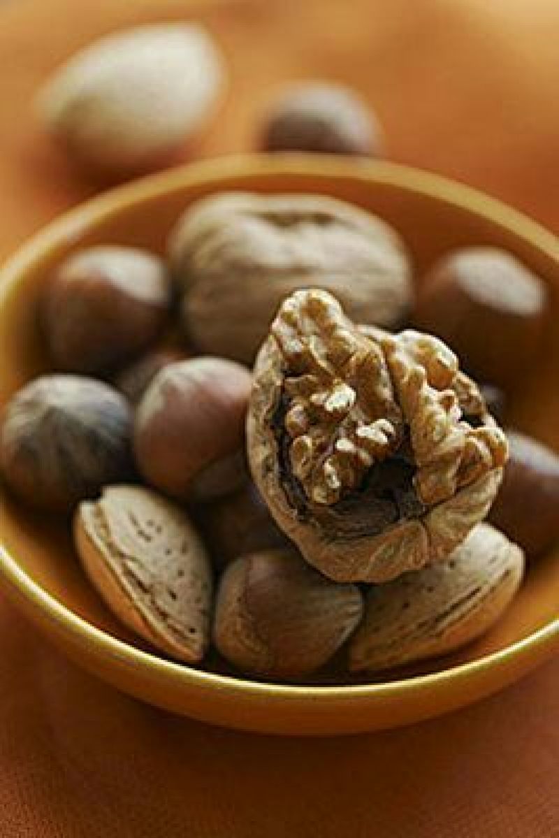 大黄核桃30mm以上去皮干