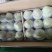 库尔勒香梨100~150g55mm以上母