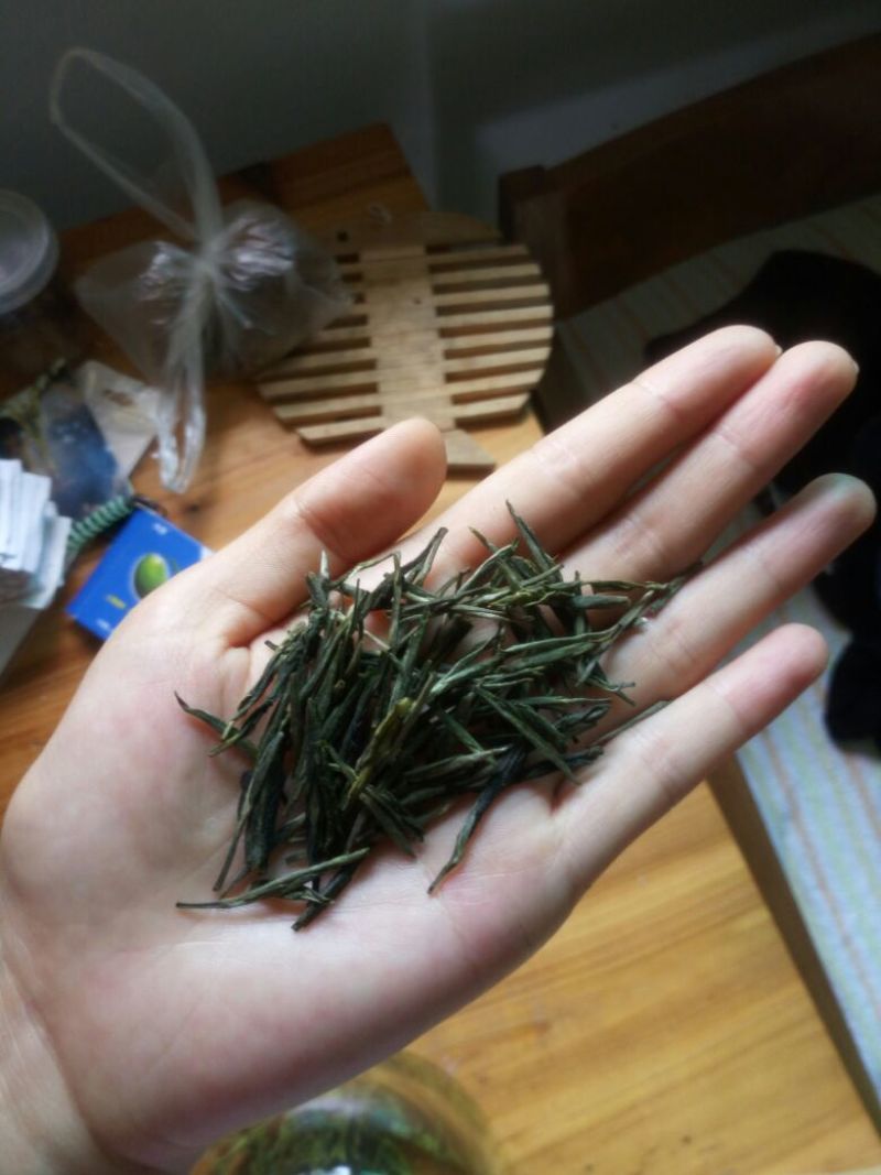 本山茶一级