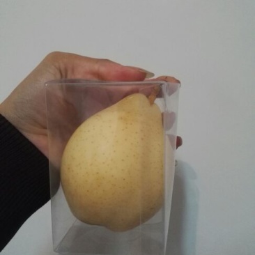 礼泉酥梨150~200g纸箱