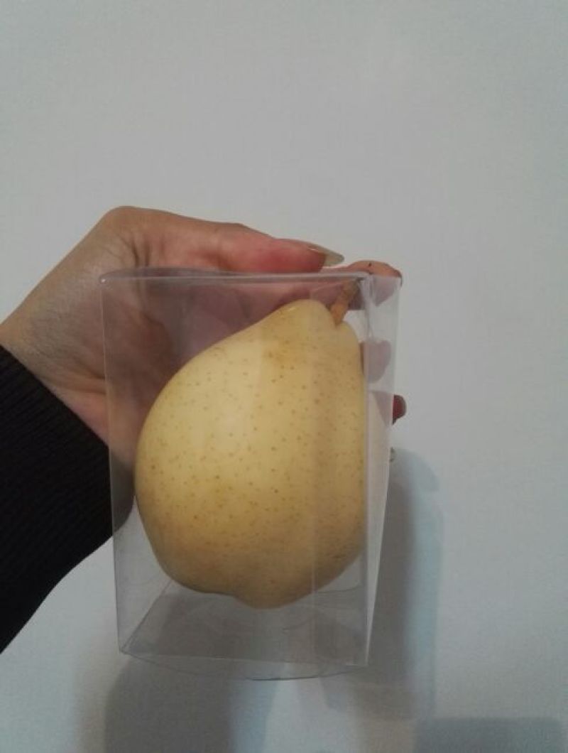 礼泉酥梨150~200g纸箱