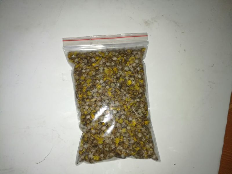 野菊花颗粒