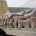 绵核桃25mm以下去皮干