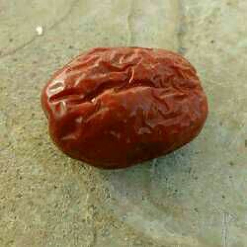 金丝小枣