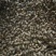 带壳花生干货带壳