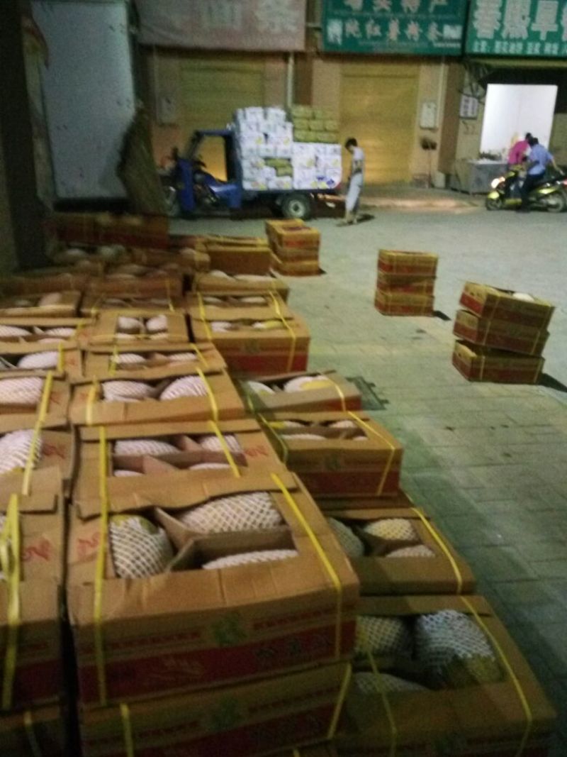 保丰蜜哈密瓜3斤以上长圆形