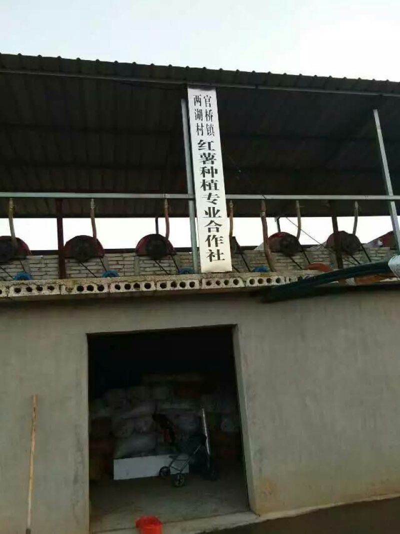 红薯淀粉散装