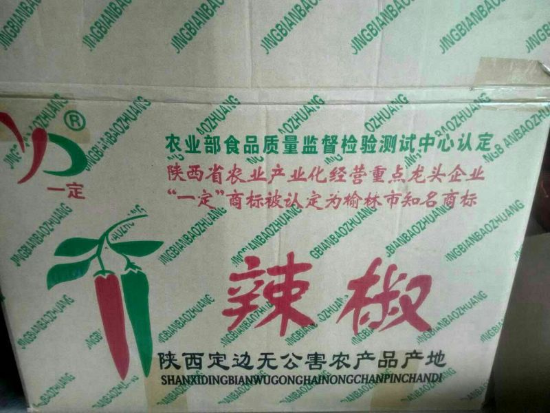 金牛角辣椒15~20厘米青