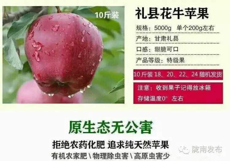花牛75mm以上光果