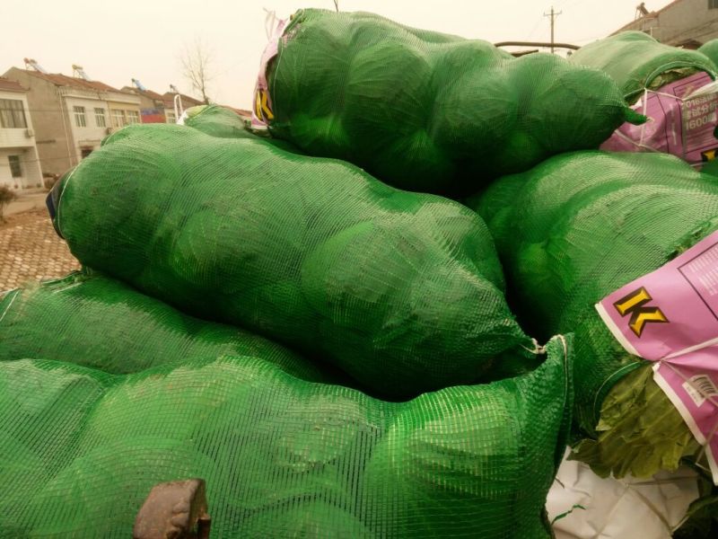 绿甘蓝扁包菜货源充足产地直发良心卖家质量保证