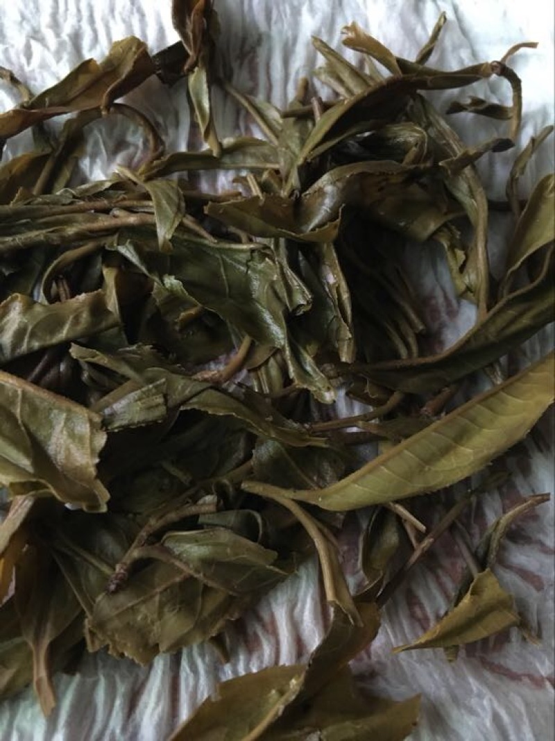 古树普洱茶