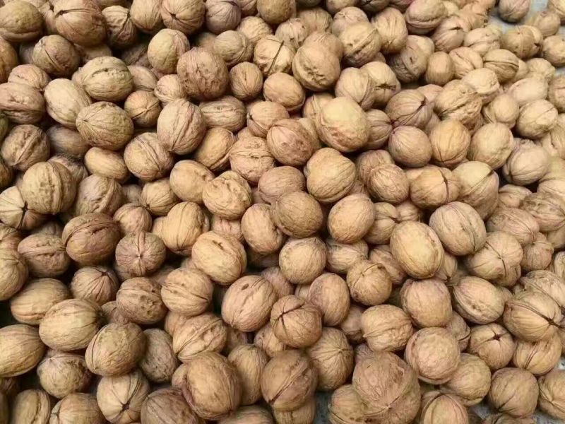 薄皮核桃30mm以上去皮干