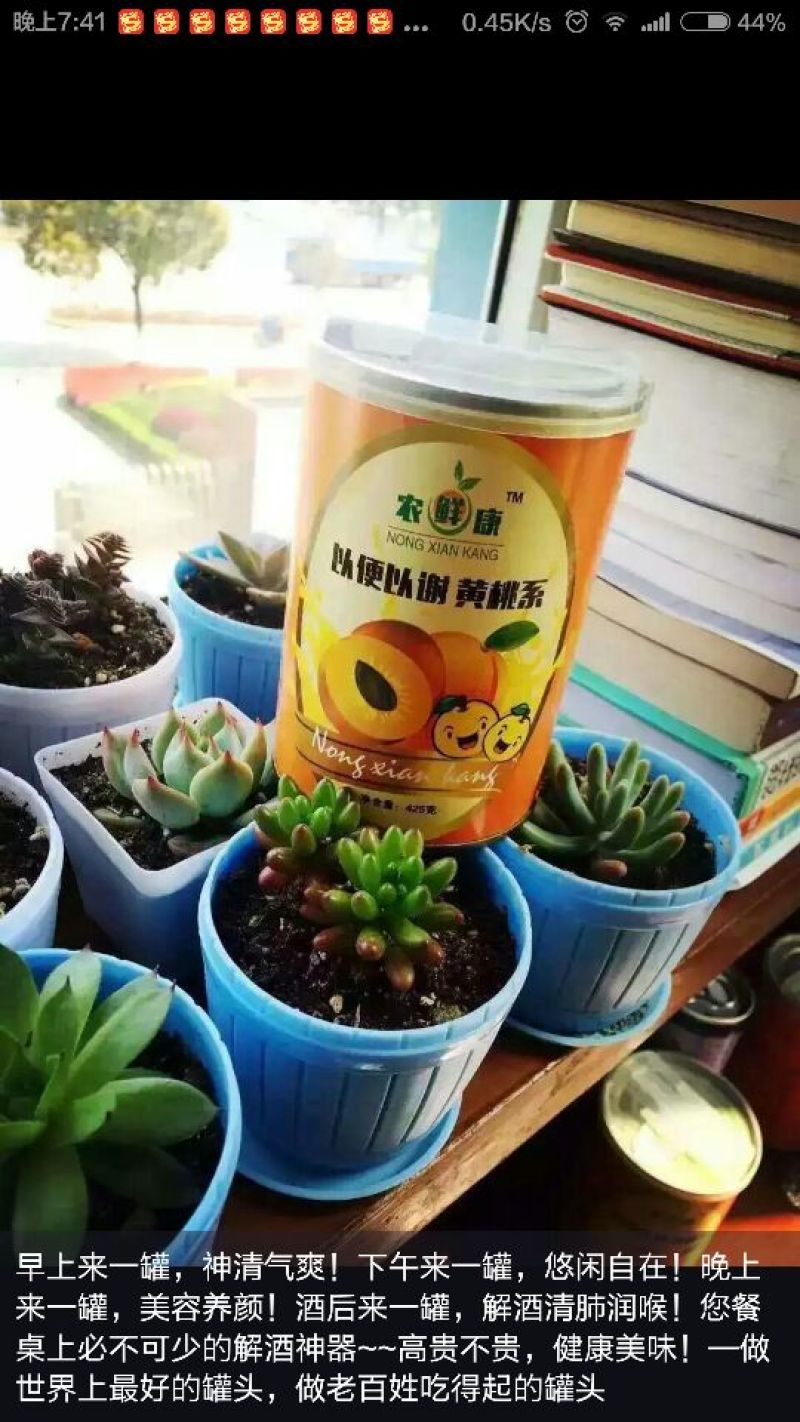 黄桃罐头