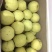 砀山梨250~300g纸加膜