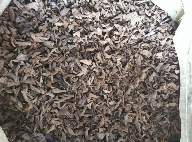 干木耳一级