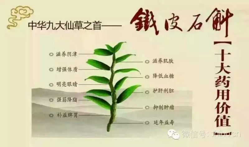 花卉盆景