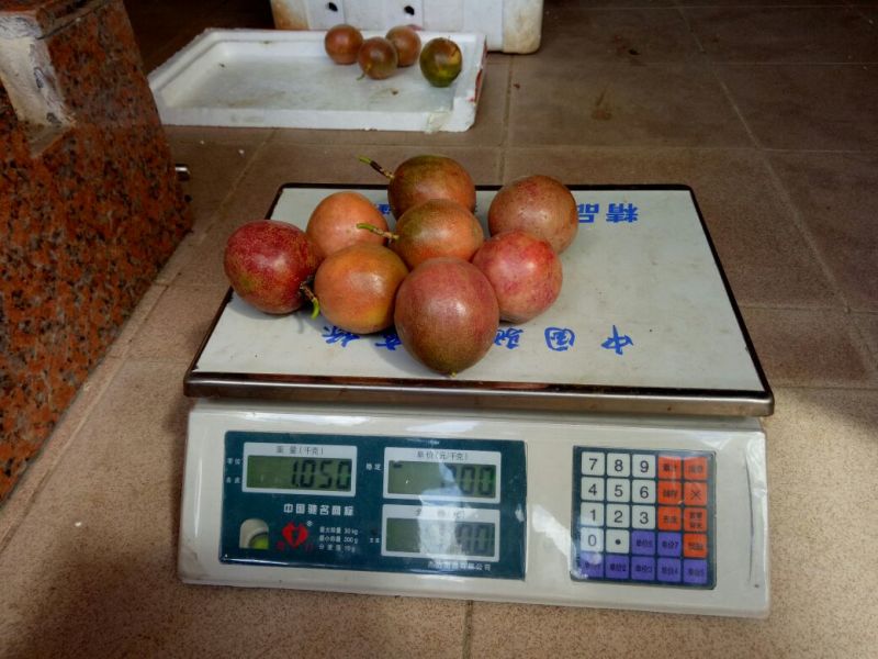 百香果紫果70~80g