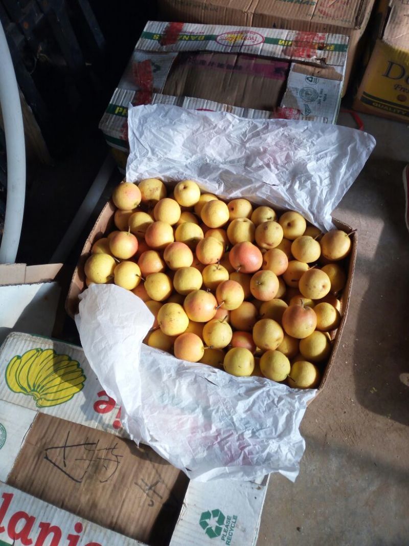 南果梨60~100g纸箱
