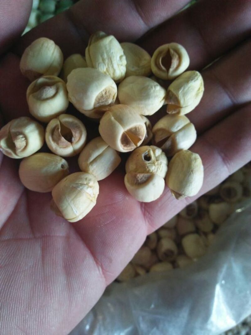干莲子特级干莲子