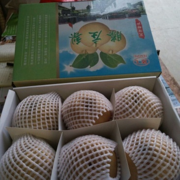 黄晶梨550~600g纸箱