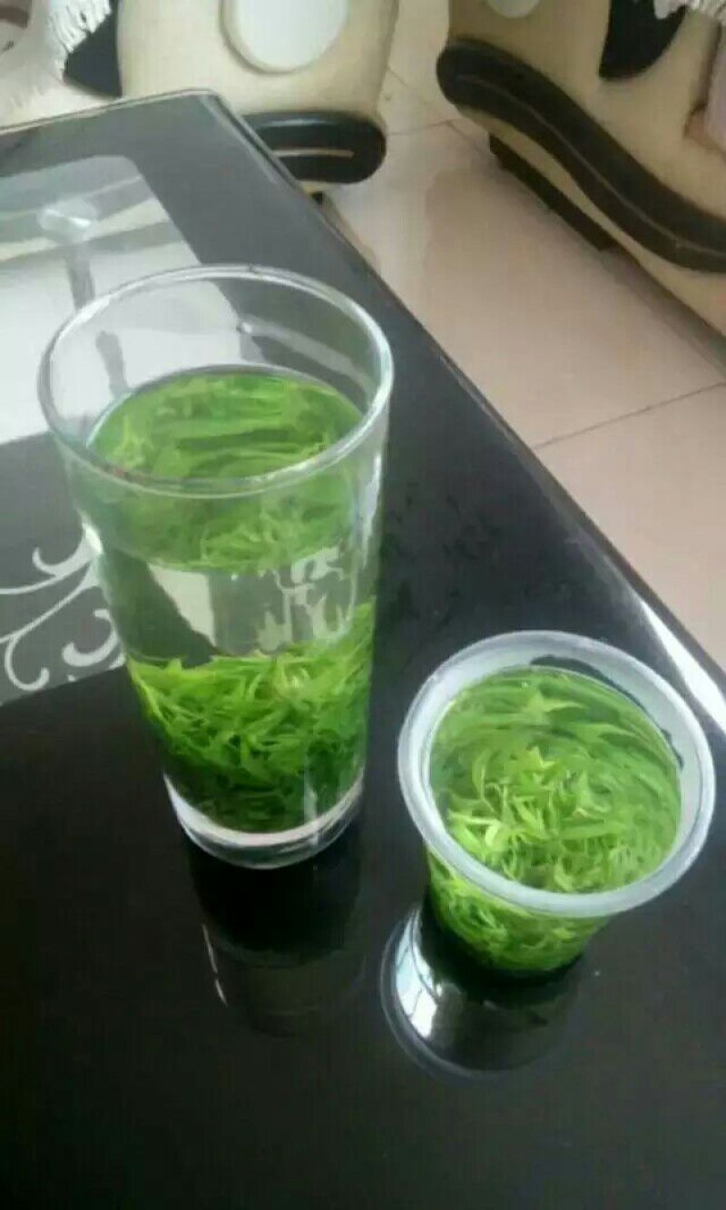 苦丁茶