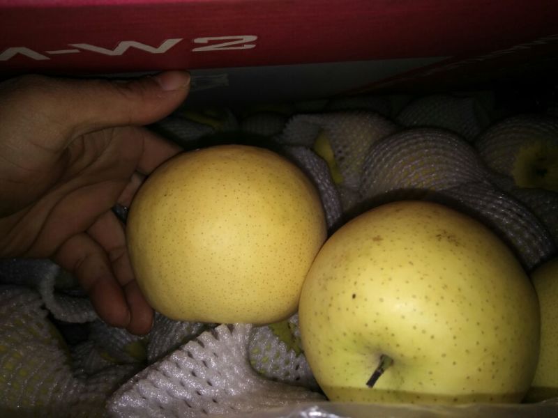 圆黄梨纸袋