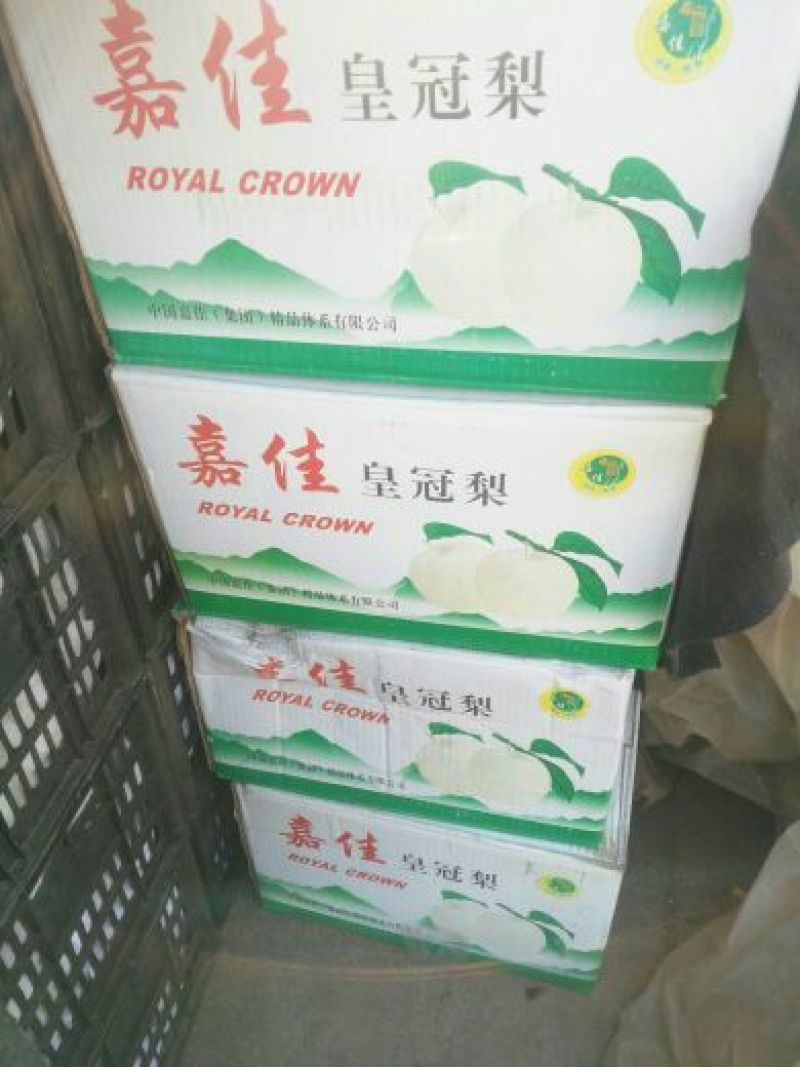 皇冠梨300~350g筐装