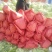 白花菜散装