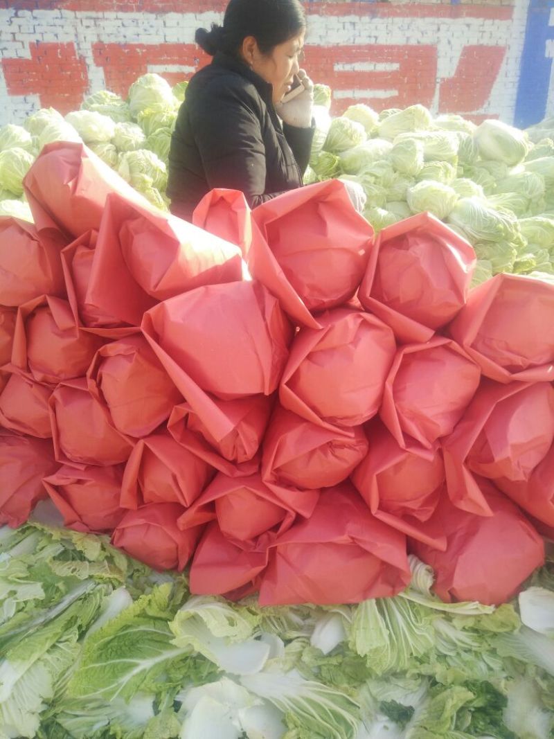 白花菜散装
