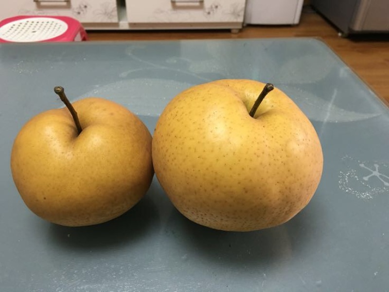 红梨