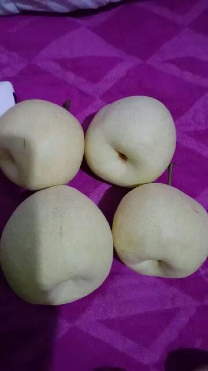 酥梨纸袋