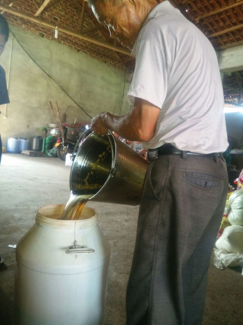 农家小榨香菜籽油菜油