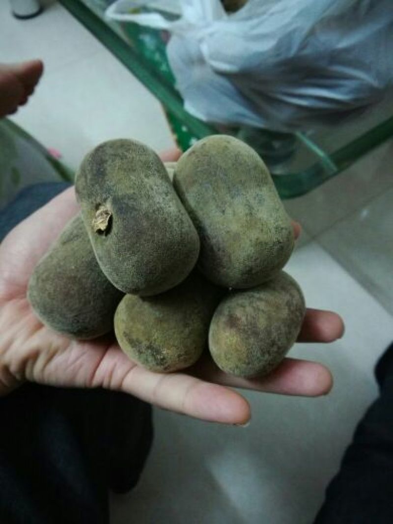 橘红化州产地直供