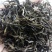 百年大树茶特级