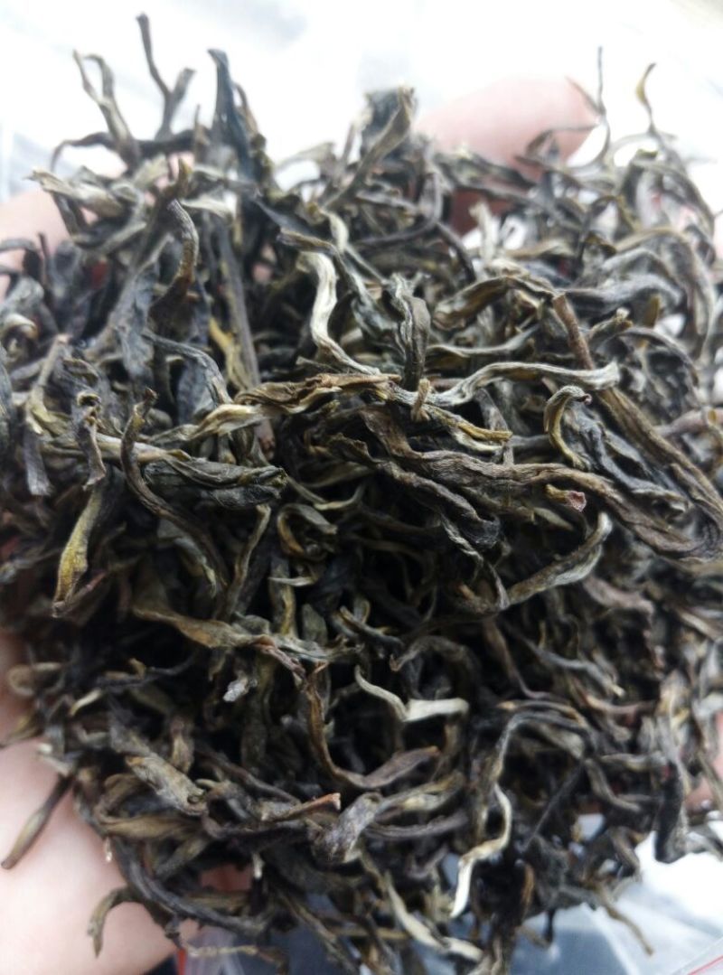 百年大树茶特级