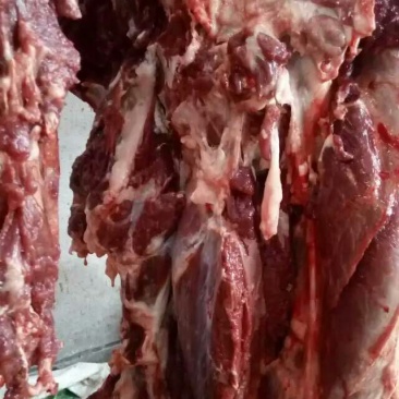 驴肉鲜货