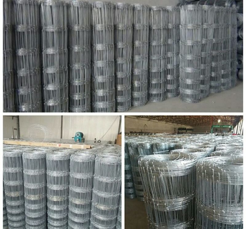 荷兰网，护拦围网，圈山，果园围网，可以定做各种规格