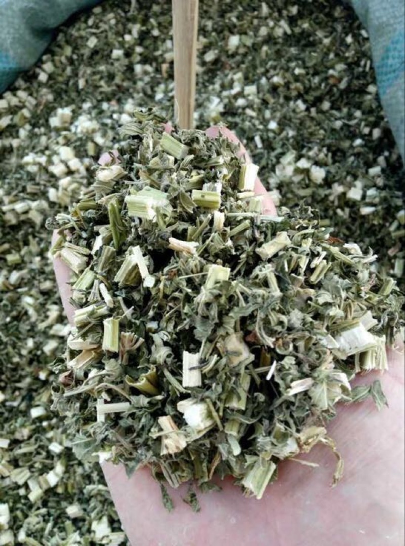益母草