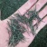 石阡苔茶特级