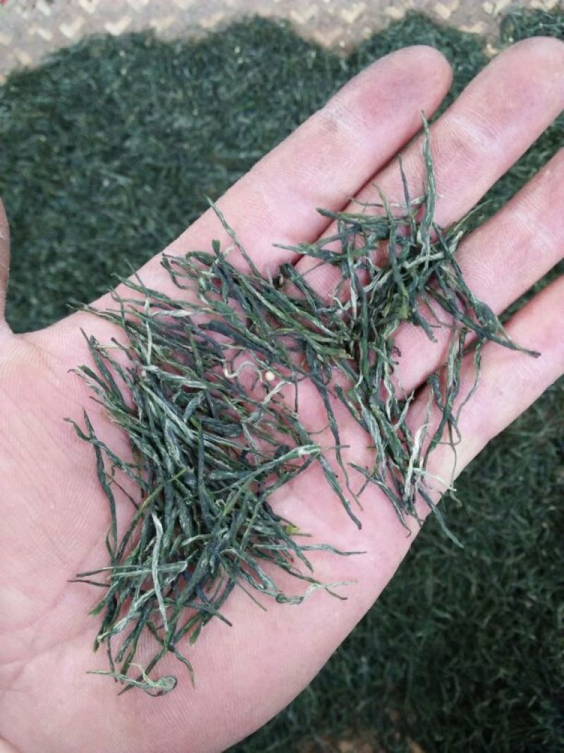 石阡苔茶特级