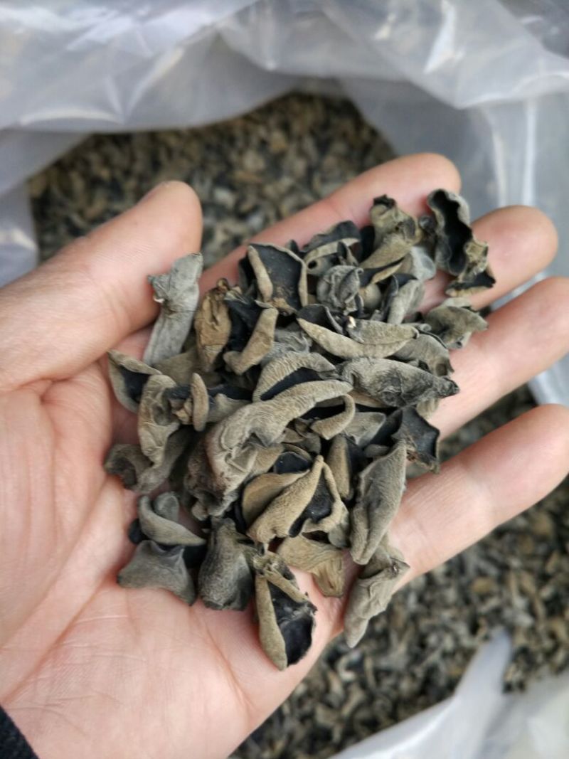黑木耳一级